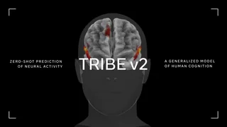 Introducing TRIBE v2: A Predictive Foundation Model Trained to Understand How the Human Brain Processes Complex Stimuli